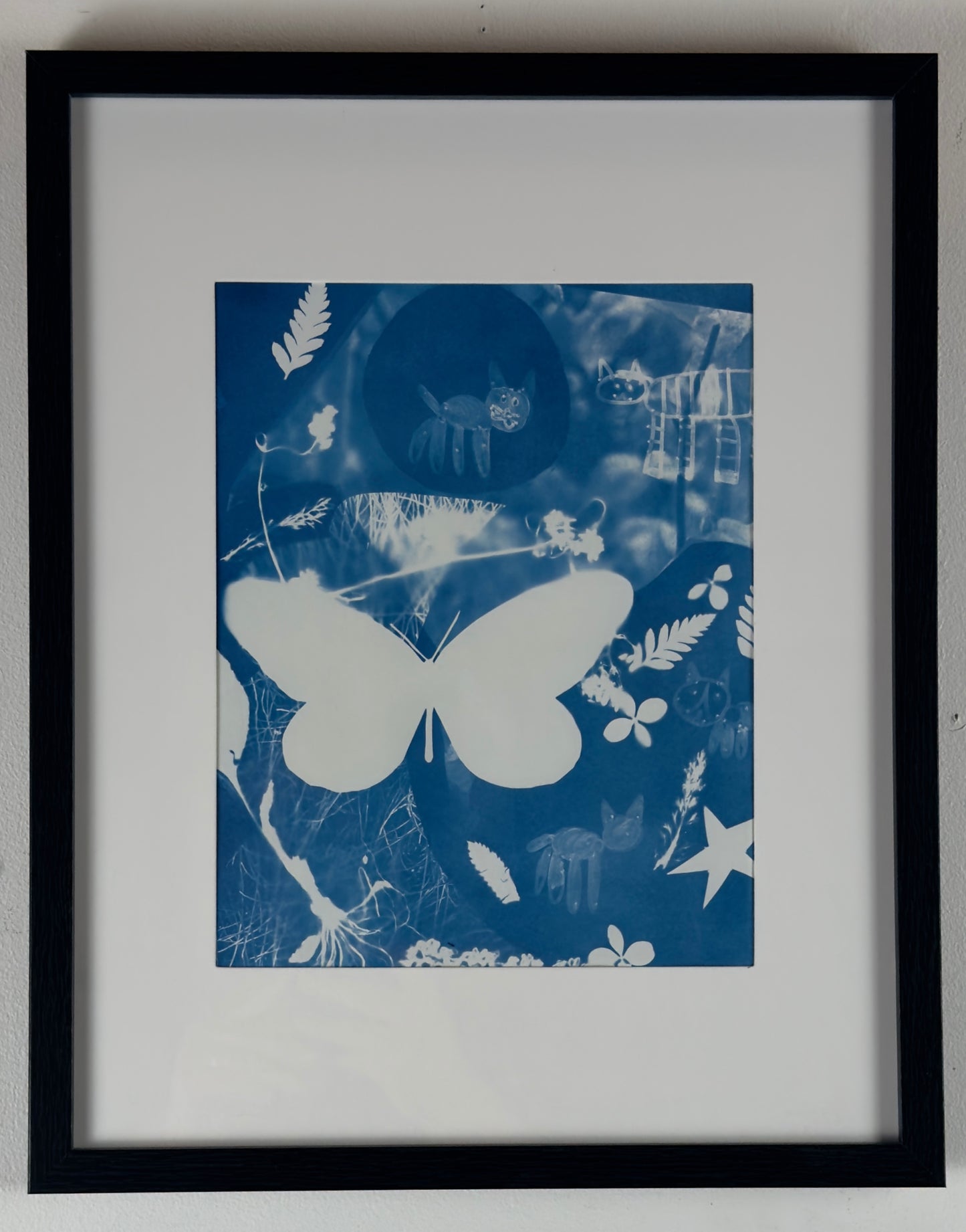 Flutter (8x10)